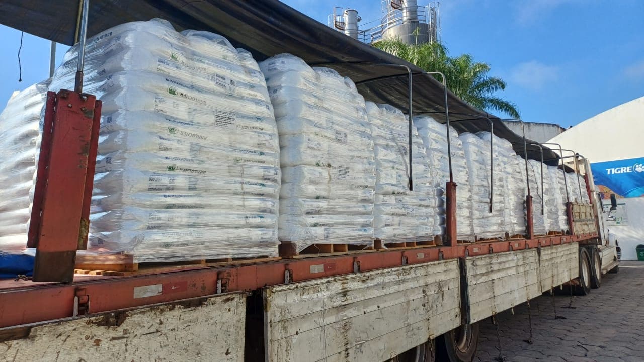 Transporte terrestre Bolivia a Argentina